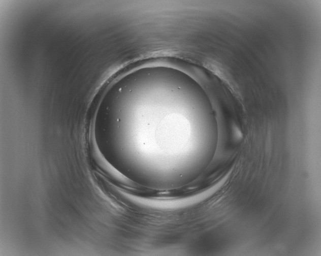 X0000065230156200602211155