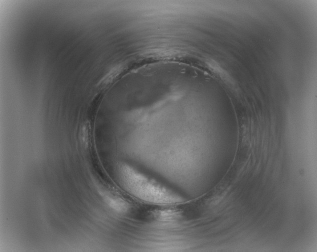 X0000065230165200602211155