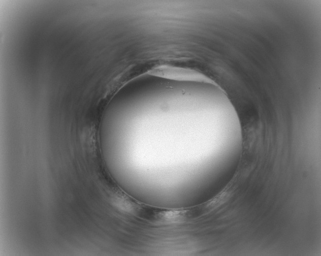 X0000065230184200602211155
