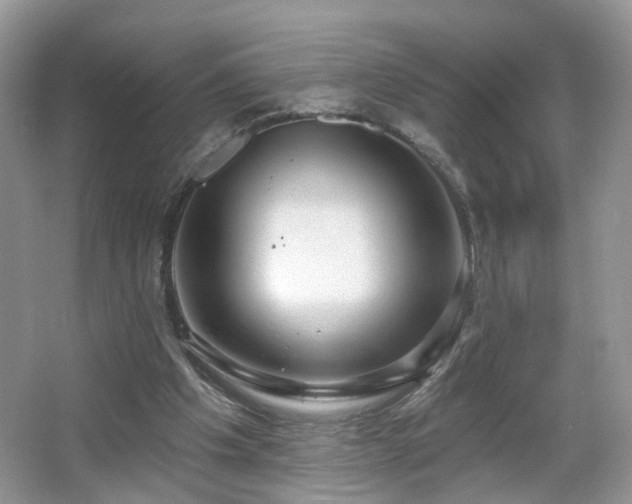 X0000065230201200602211154