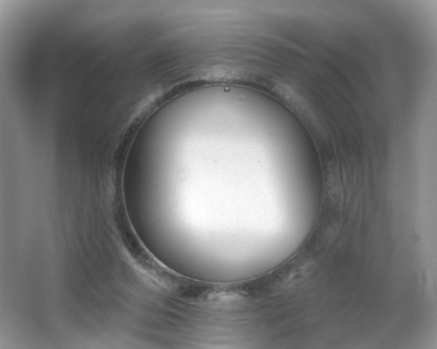X0000065230208200602211154