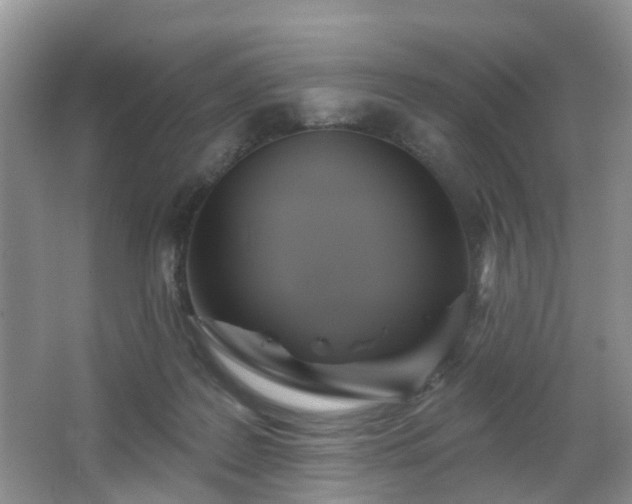 X0000065230219200602211154