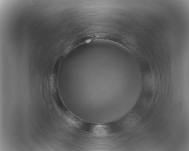X0000065230222200602211154
