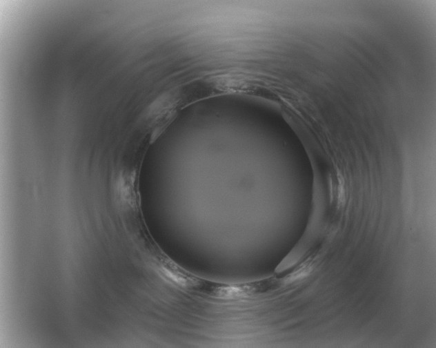 X0000065230239200602211154