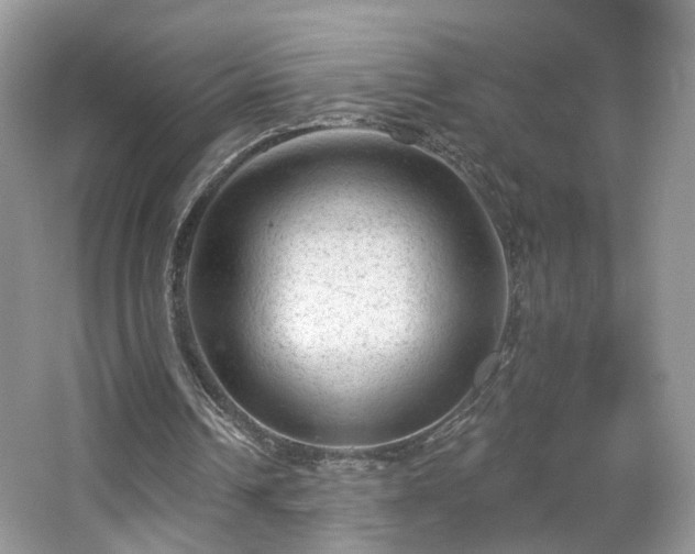 X0000065230242200602211153