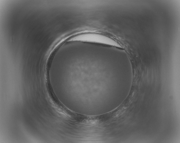 X0000065230247200602211153