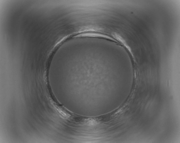X0000065230249200602211153