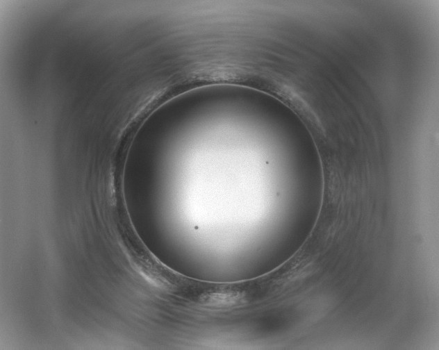 X0000065230251200602211153