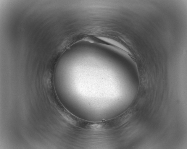 X0000065230265200602211153
