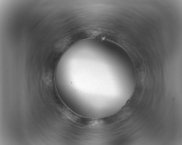 X0000065230274200602211153