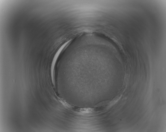 X0000065230288200602211154