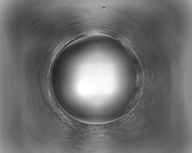 X0000065230289200602211153