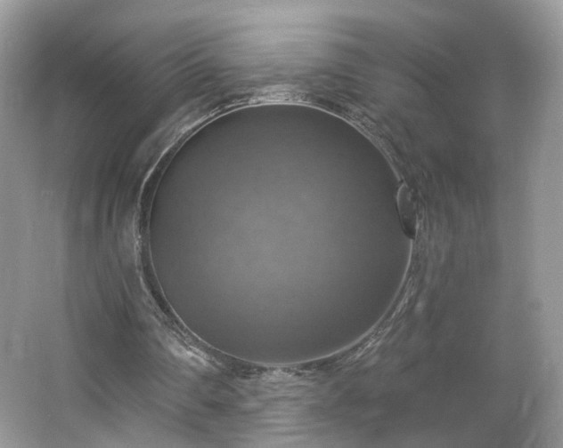 X0000065230290200602211153