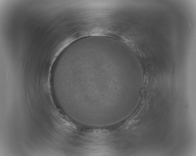 X0000065230292200602211153