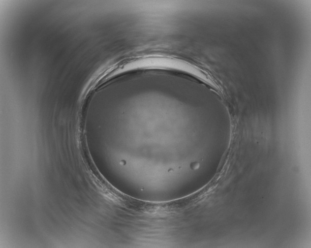X0000065230293200602211153