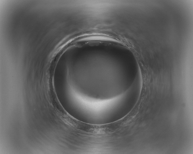 X0000065230295200602211153