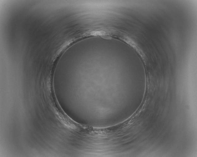 X0000065230297200602211153