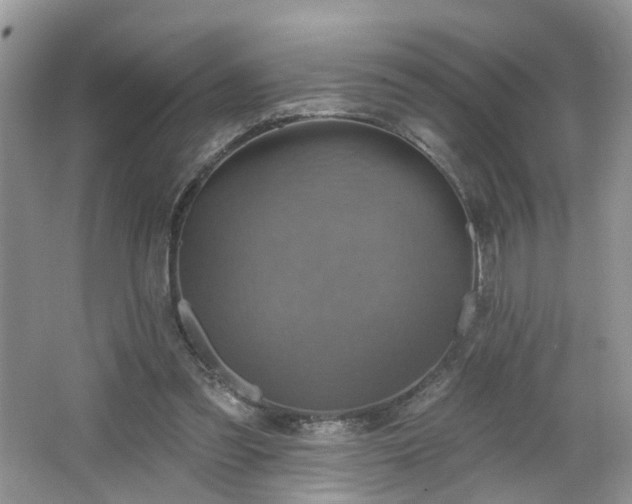 X0000065230301200602211152