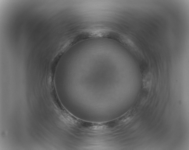 X0000065230314200602211152