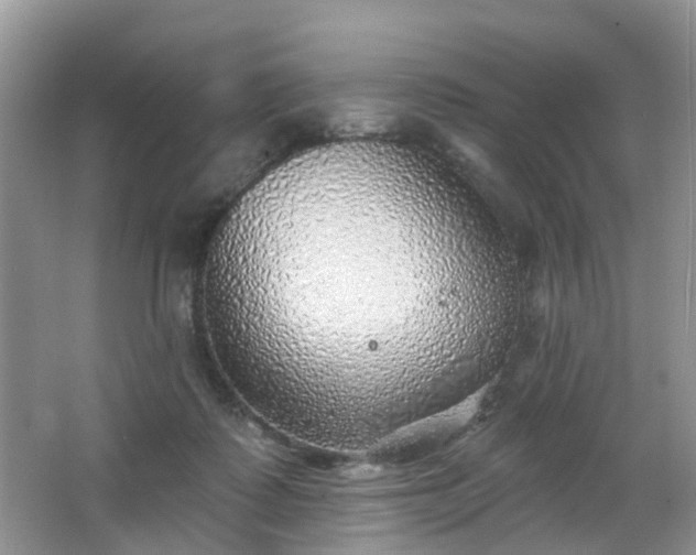 X0000065230315200602211152