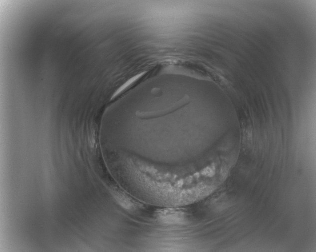 X0000065230331200602211152