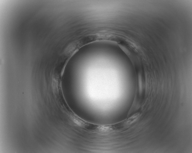 X0000065230333200602211152