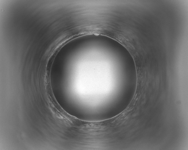 X0000065230338200602211151