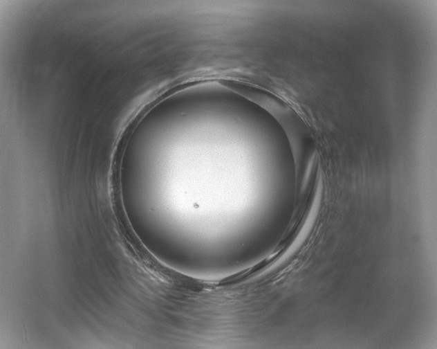 X0000065230340200602211151