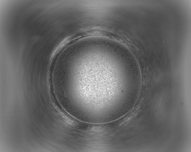 X0000065230341200602211151