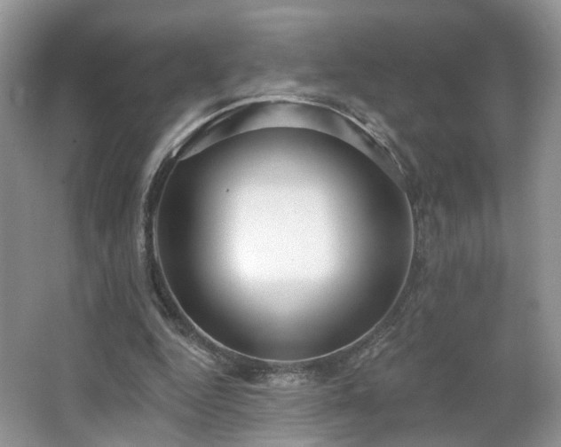 X0000065230344200602211151