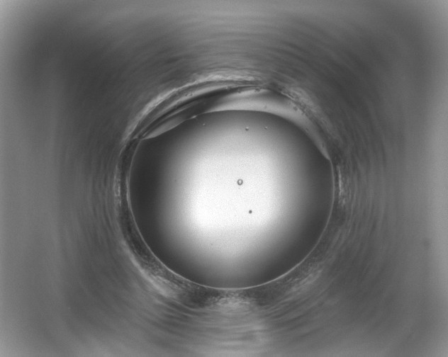 X0000065230348200602211151