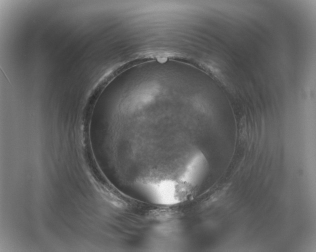 X0000065230351200602211151