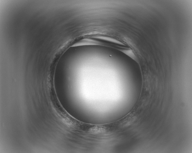X0000065230354200602211151