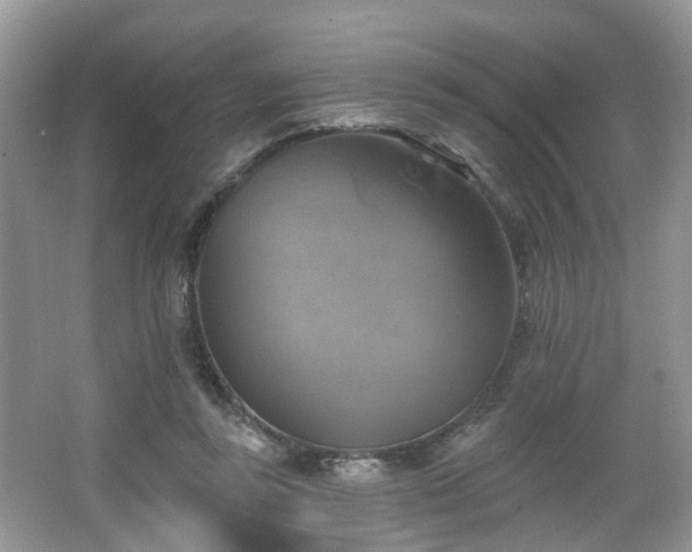 X0000065230355200602211151