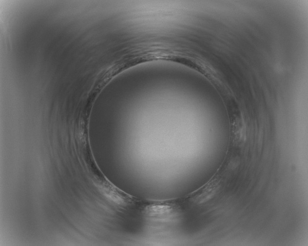 X0000065230361200602211151