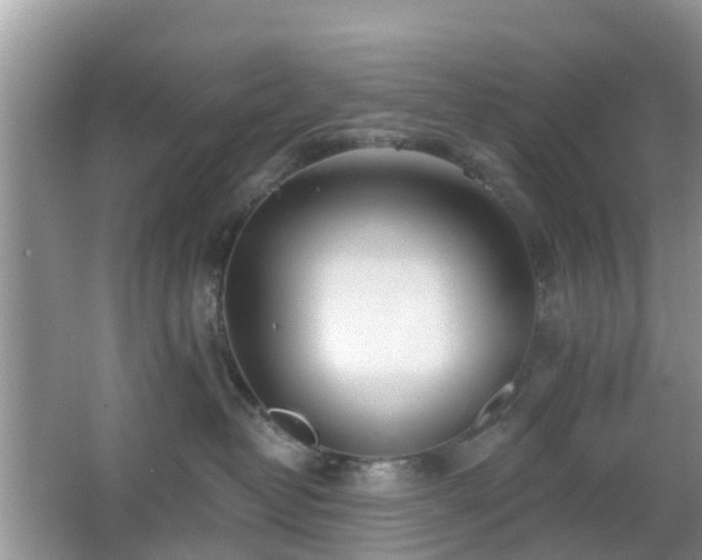X0000065230382200602211152