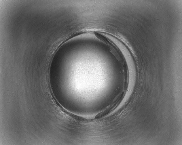 X0000065230385200602211151