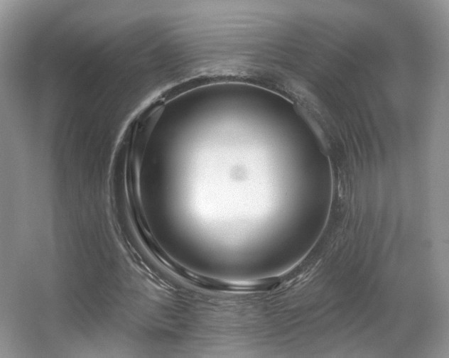 X0000065230388200602211151