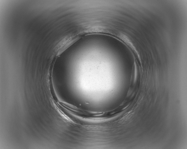 X0000065230389200602211151