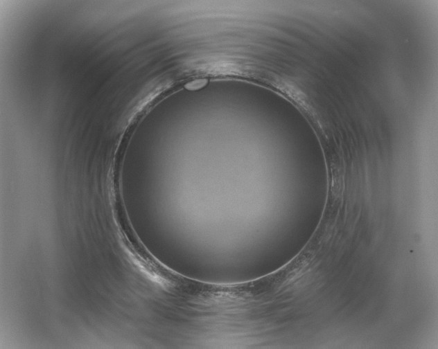 X0000065230390200602211151
