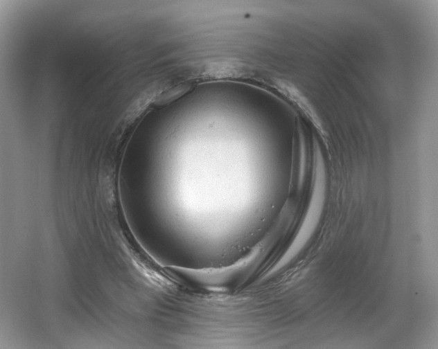 X0000065230393200602211151