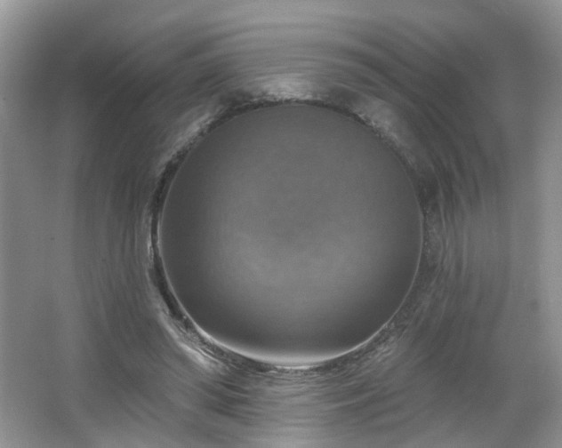 X0000065230398200602211151