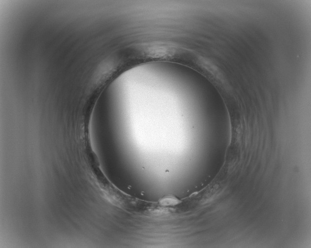 X0000065230407200602211151