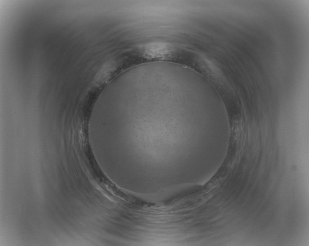 X0000065230408200602211151