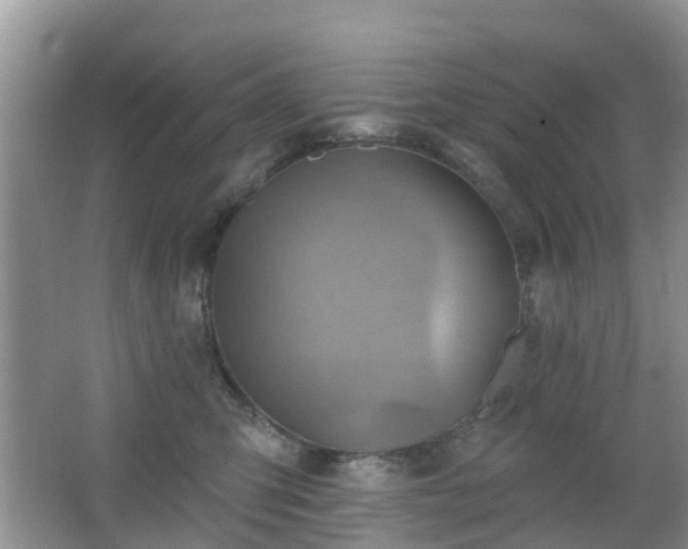 X0000065230423200602211150