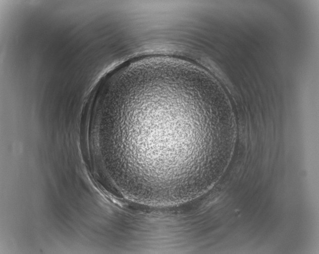 X0000065230434200602211149