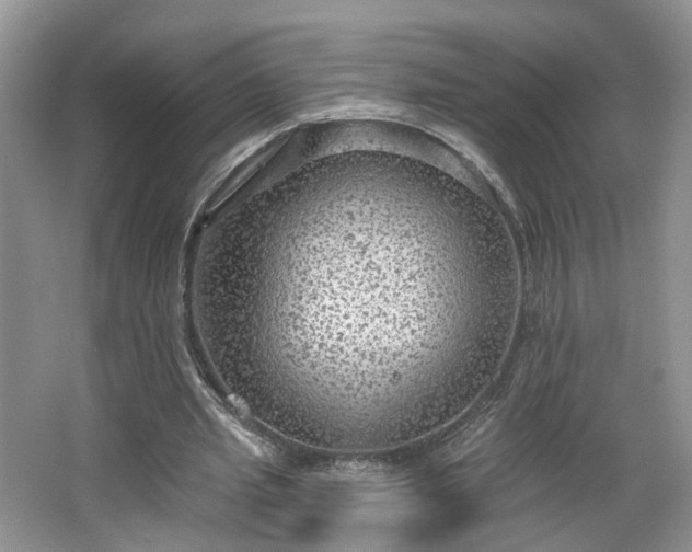 X0000065230437200602211149