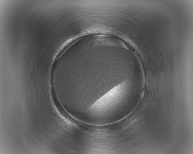 X0000065230438200602211149