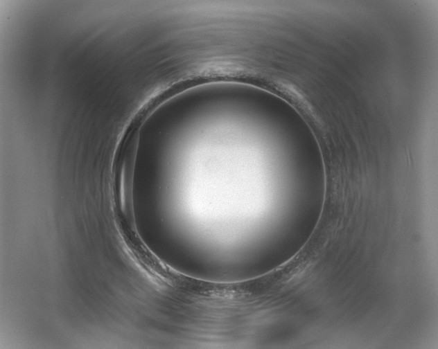 X0000065230439200602211149