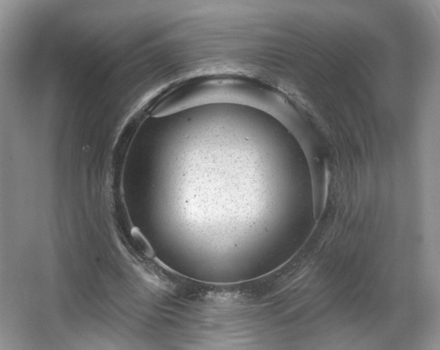 X0000065230440200602211149